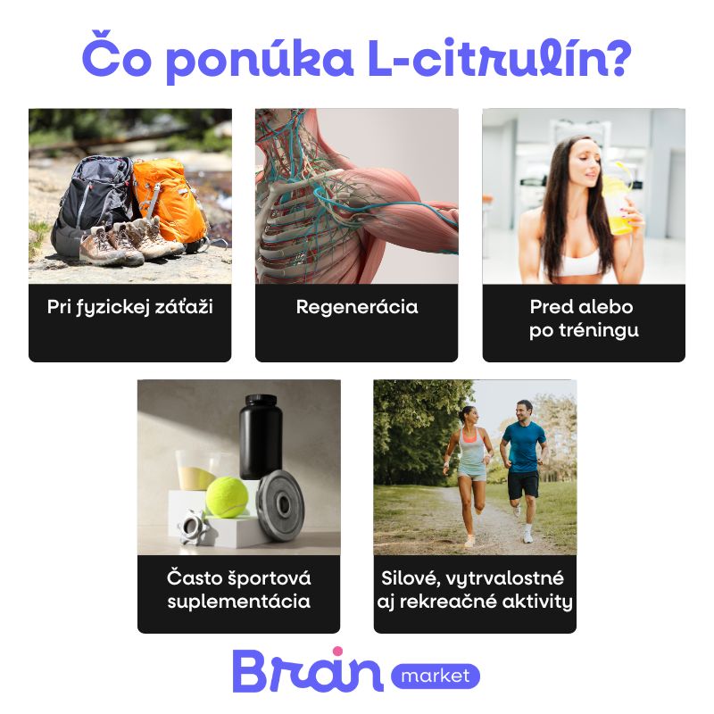 (Slovenčina) - 2025-05-27T190235.273